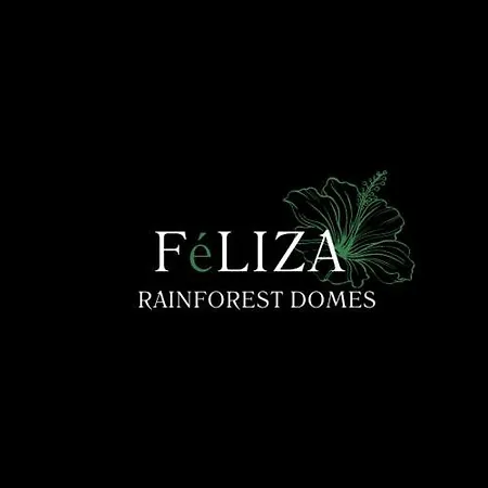Fernanda Dome At Feliza Rainforest Domes Monteverde Exterior photo