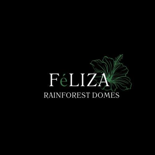 Campo de lujo Fernanda Dome At Feliza Rainforest Domes Monteverde